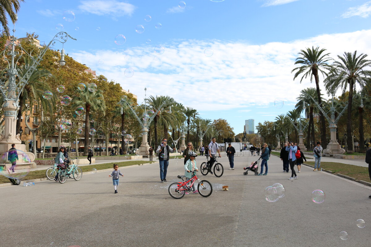 За мыльными пузырями... - Ольга 