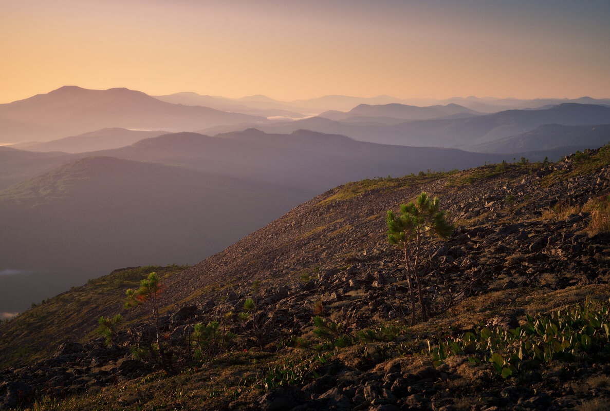 * - Александр Иванов