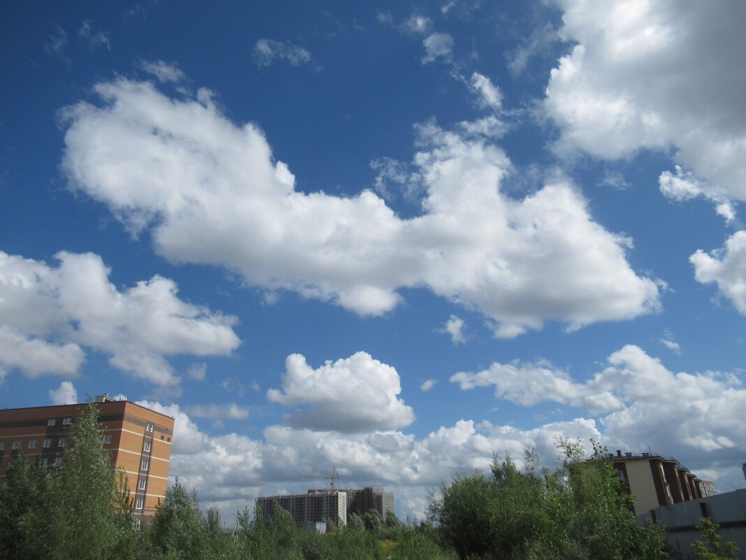 После дождя - Андрей Макурин