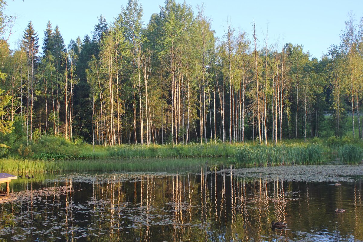 Царь Горы - Владимир Соколов (svladmir)