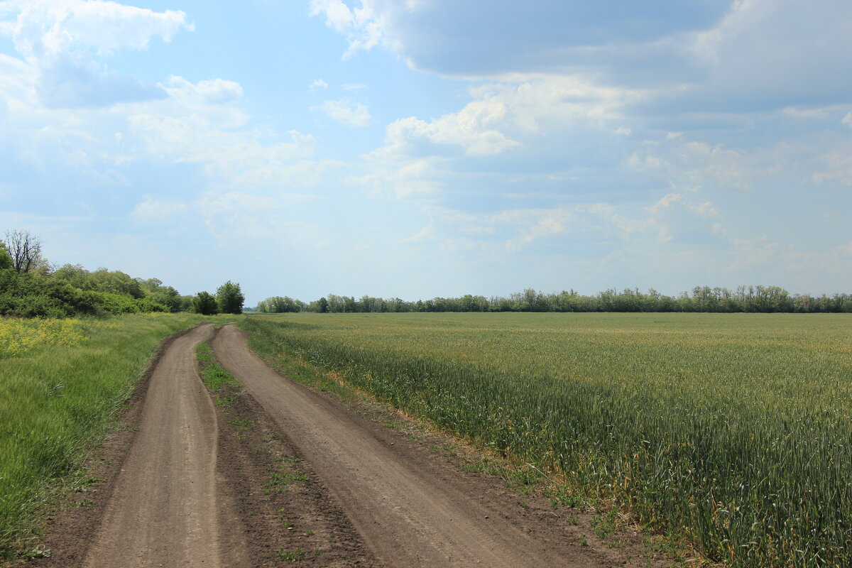 Мои дороги. - Виктор 