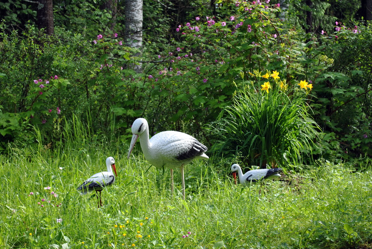 Летом - AleksSPb Лесниченко Летом - AleksSPb Лесниченко