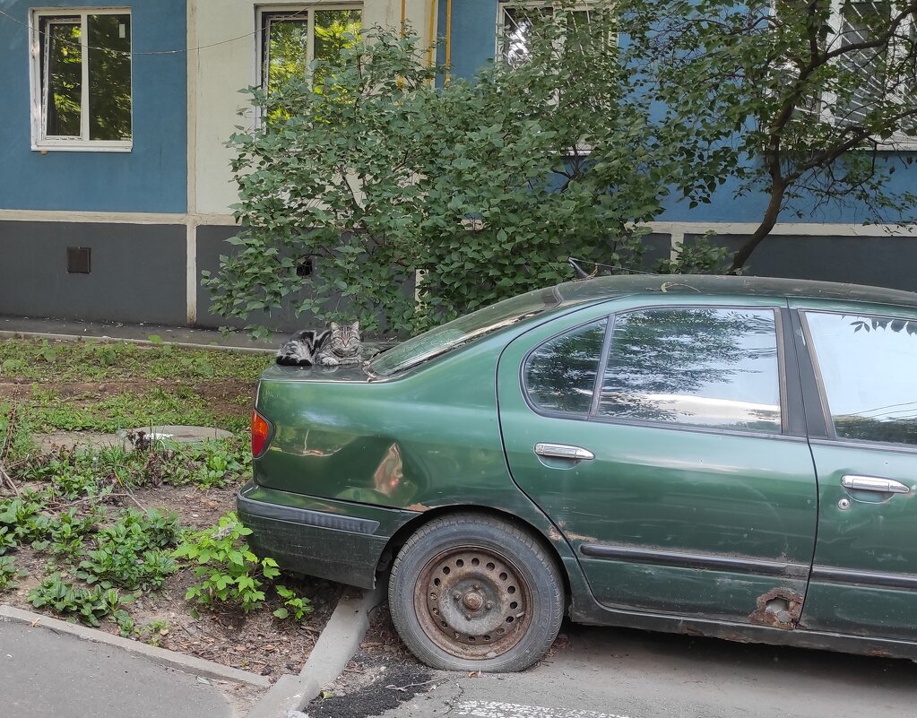 Охрана лимузина - Игорь Ч. Охрана лимузина - Игорь Ч.