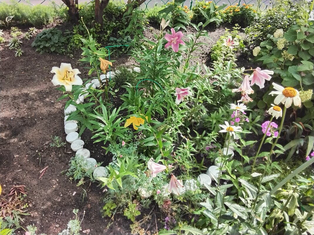 Цветник у дома - Дмитрий Никитин