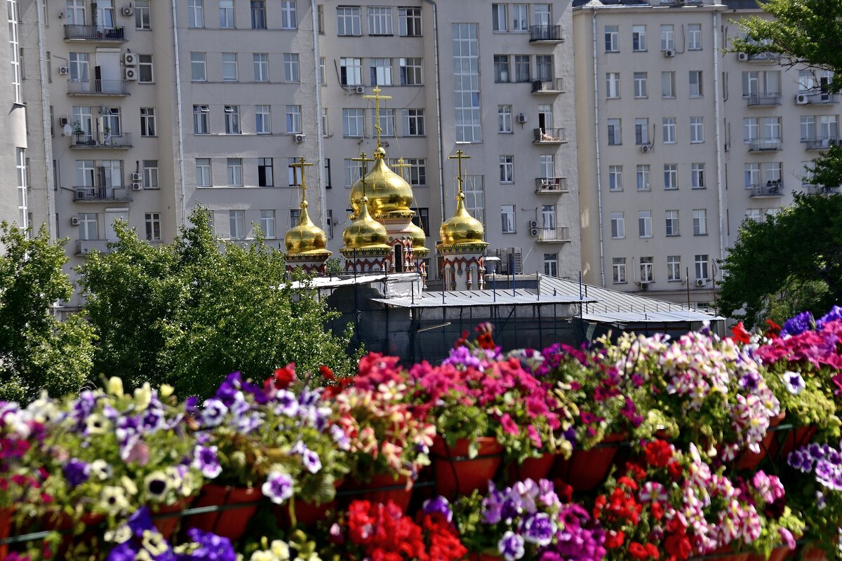 Москва златоглавая - Владимир Мигонькин Москва златоглавая - Владимир Мигонькин