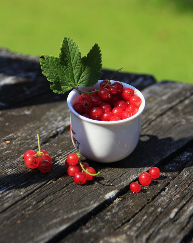 Красная смородинка :) - Татьян@ Ивановна Красная смородинка :) - Татьян@ Ивановна