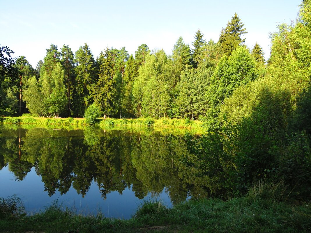 Прохлада летнего утра - Андрей Снегерёв Прохлада летнего утра - Андрей Снегерёв