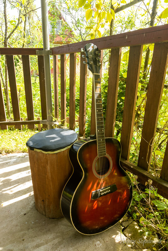 Родная дача - Алексей Сопельняк