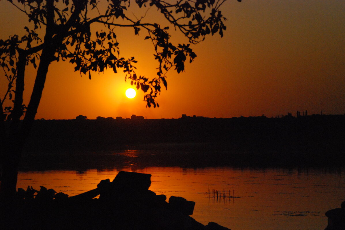 Летний закат - Анна Камс Летний закат - Анна Камс