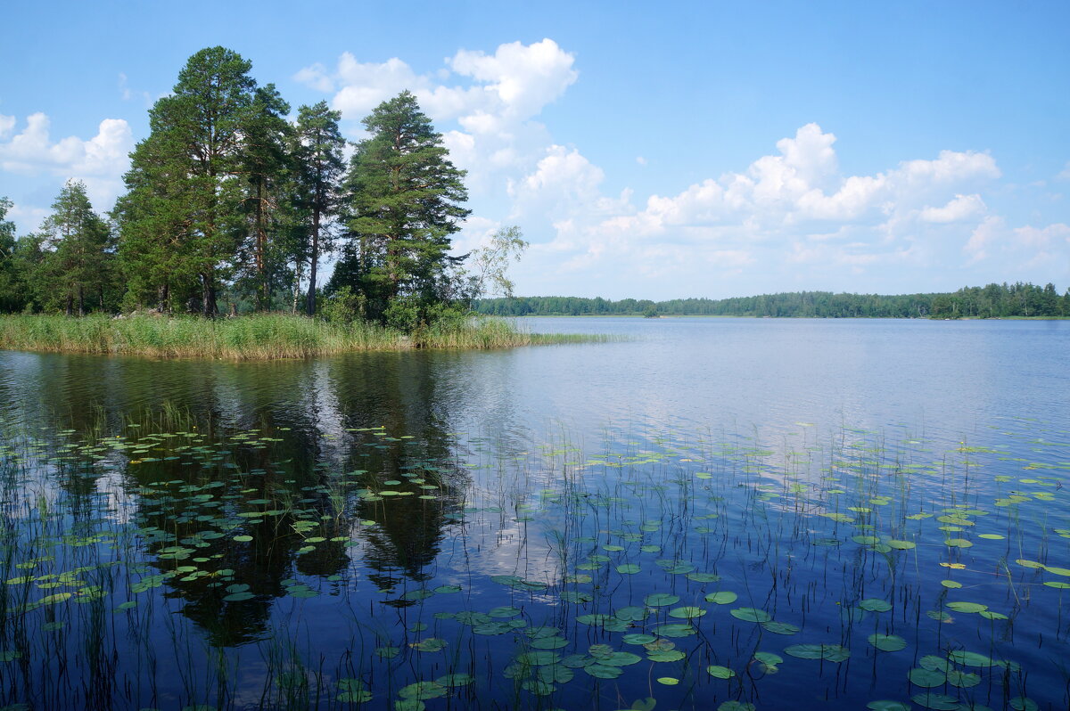 Вуокса - zavitok *