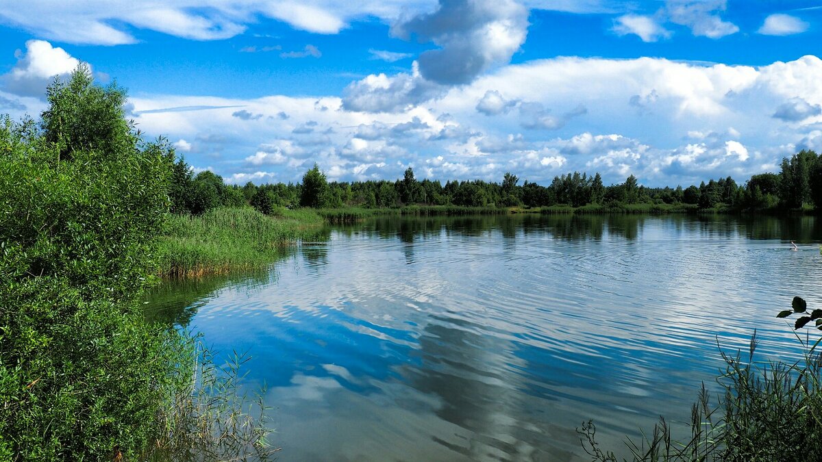 Лето в июле (репортаж из поездок по области). - Милешкин Владимир Алексеевич 
