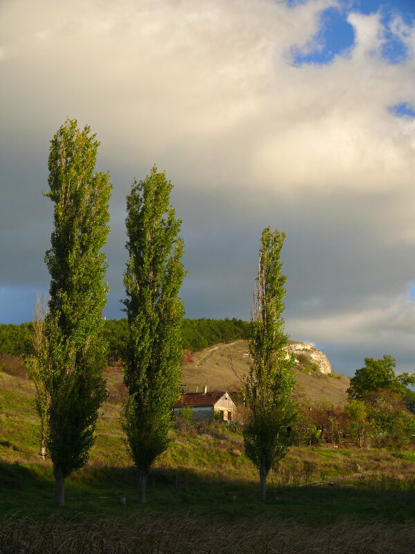 Чумакары - Всеволод Чумакары - Всеволод