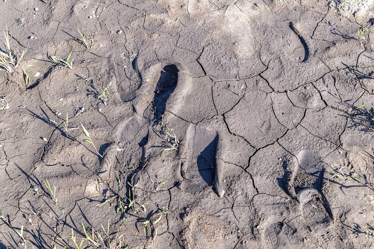 Арт объект - Валерий Иванович Арт объект - Валерий Иванович