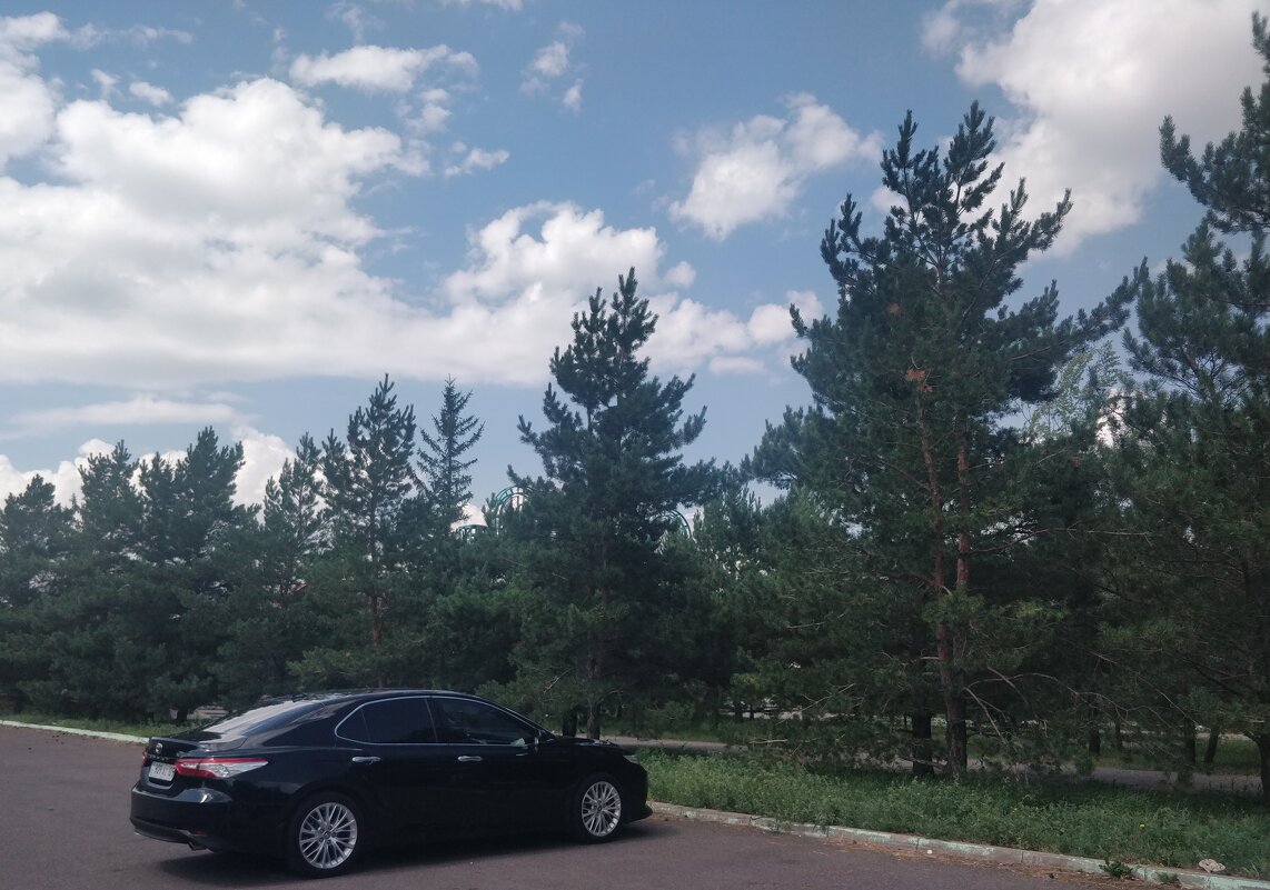 Сосновый парк... - Андрей Хлопонин