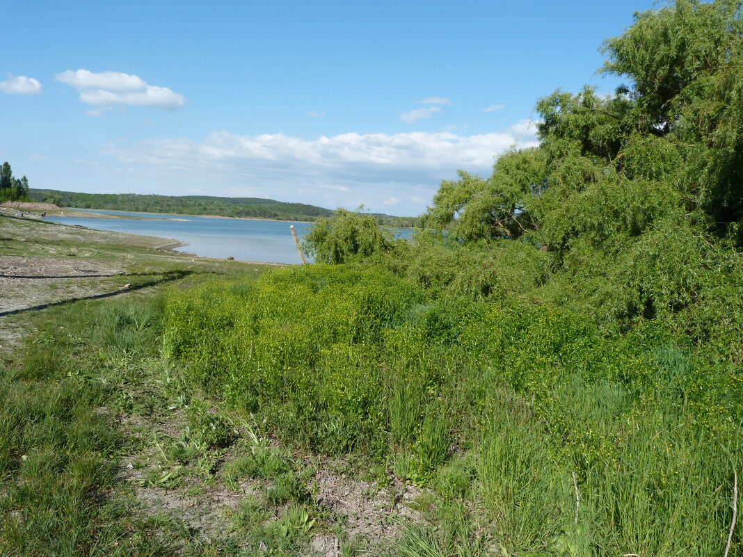 Пейзажи  Крыма - Валентин Семчишин