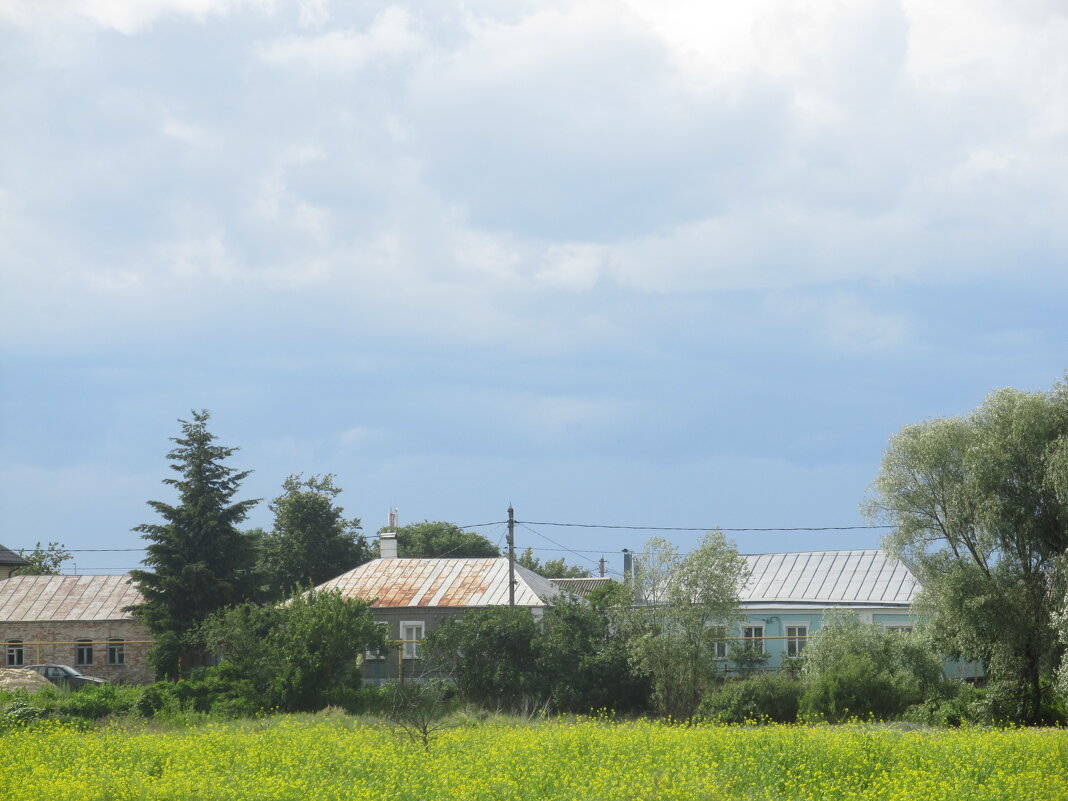 за городом - Елена Шаламова