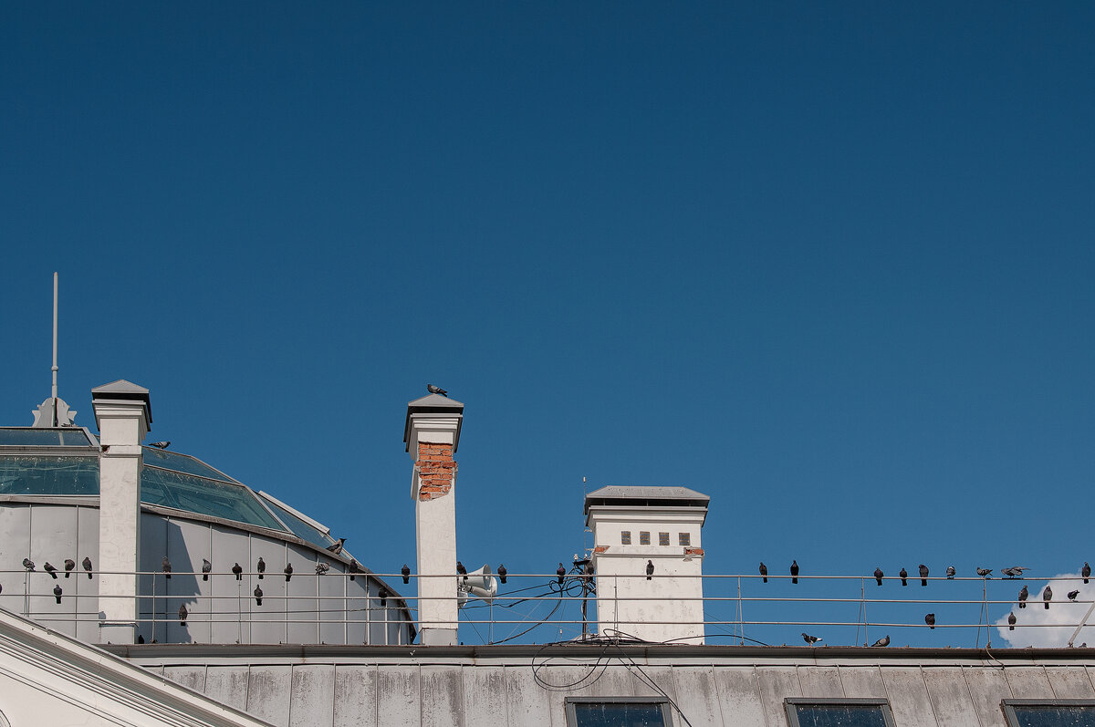 Музыка. - Svyatoslav [Artisan] Ph.