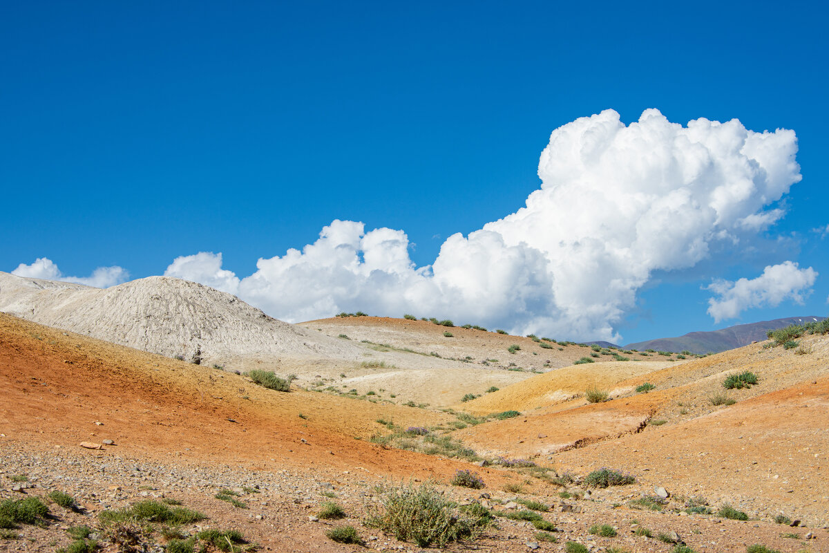 *** - Николай Чекалин