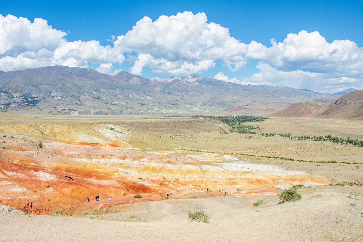 *** - Николай Чекалин