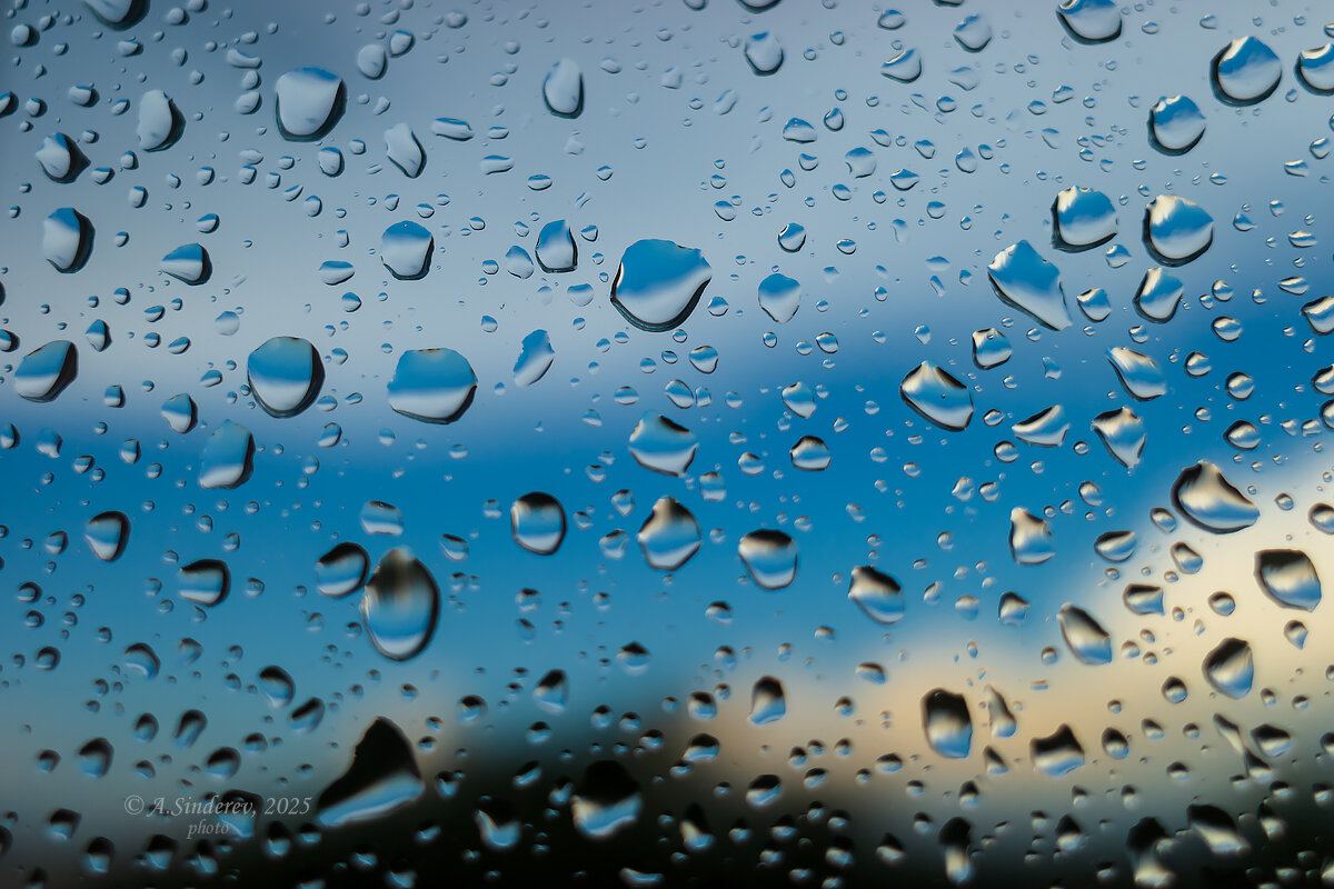 Макро капель дождя на стекле - Александр Синдерёв