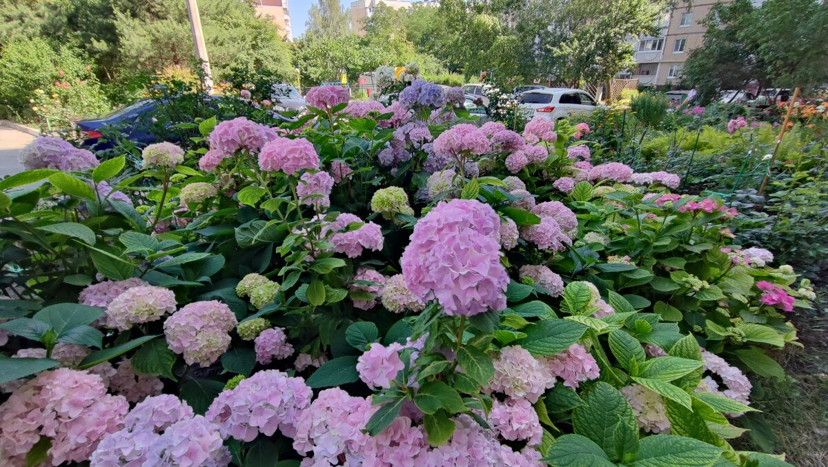 ,,, - Сергей Тимоновский