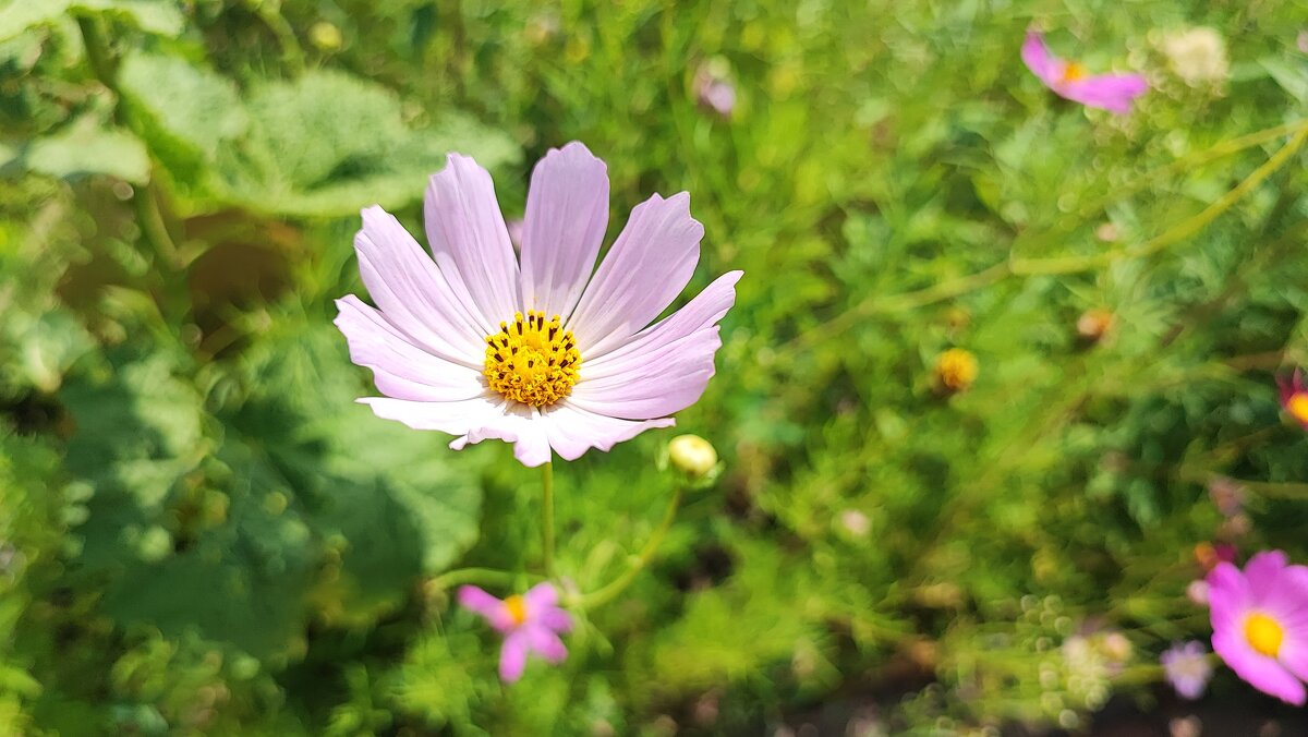 ,,, - Сергей Тимоновский