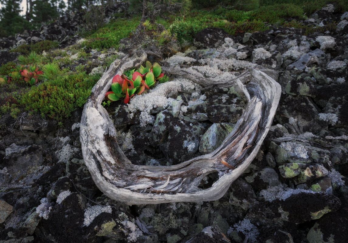 * - Александр Иванов