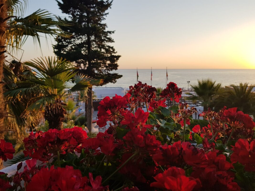 РИВЬЕРА - Tata Wolf