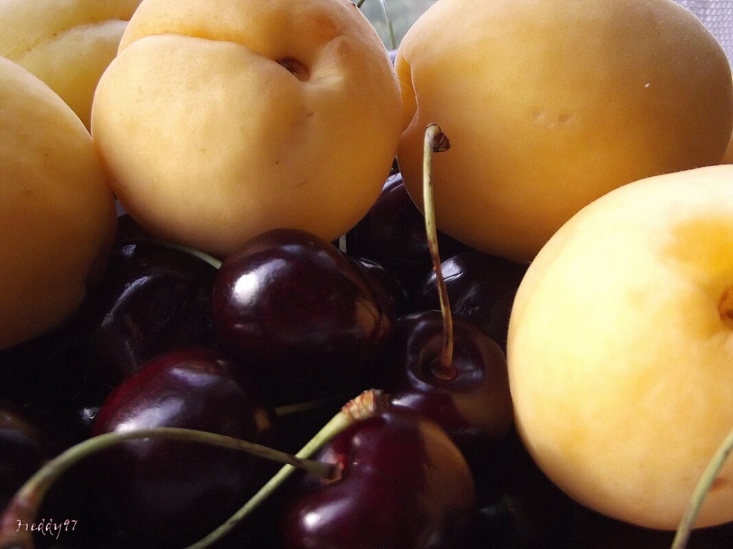 Витамины - Freddy 97 Витамины - Freddy 97