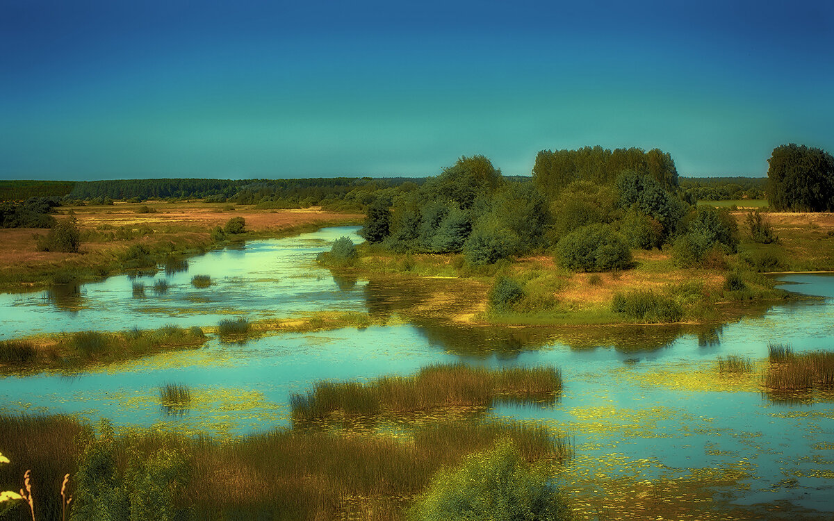 Ивановская область. Река Теза. - Николай Феофанов Ивановская область. Река Теза. - Николай Феофанов
