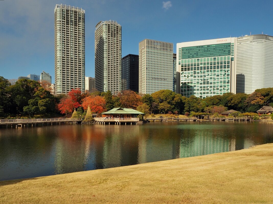 Чайный домик Токио Япония - Civetta ***