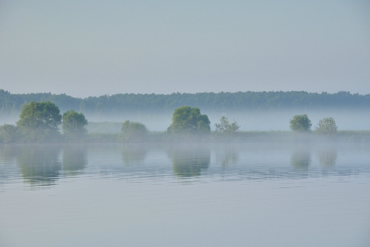 Светает - Марина Виноградова