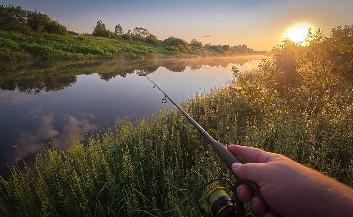 Летняя рыбалка - Николай Дергачев