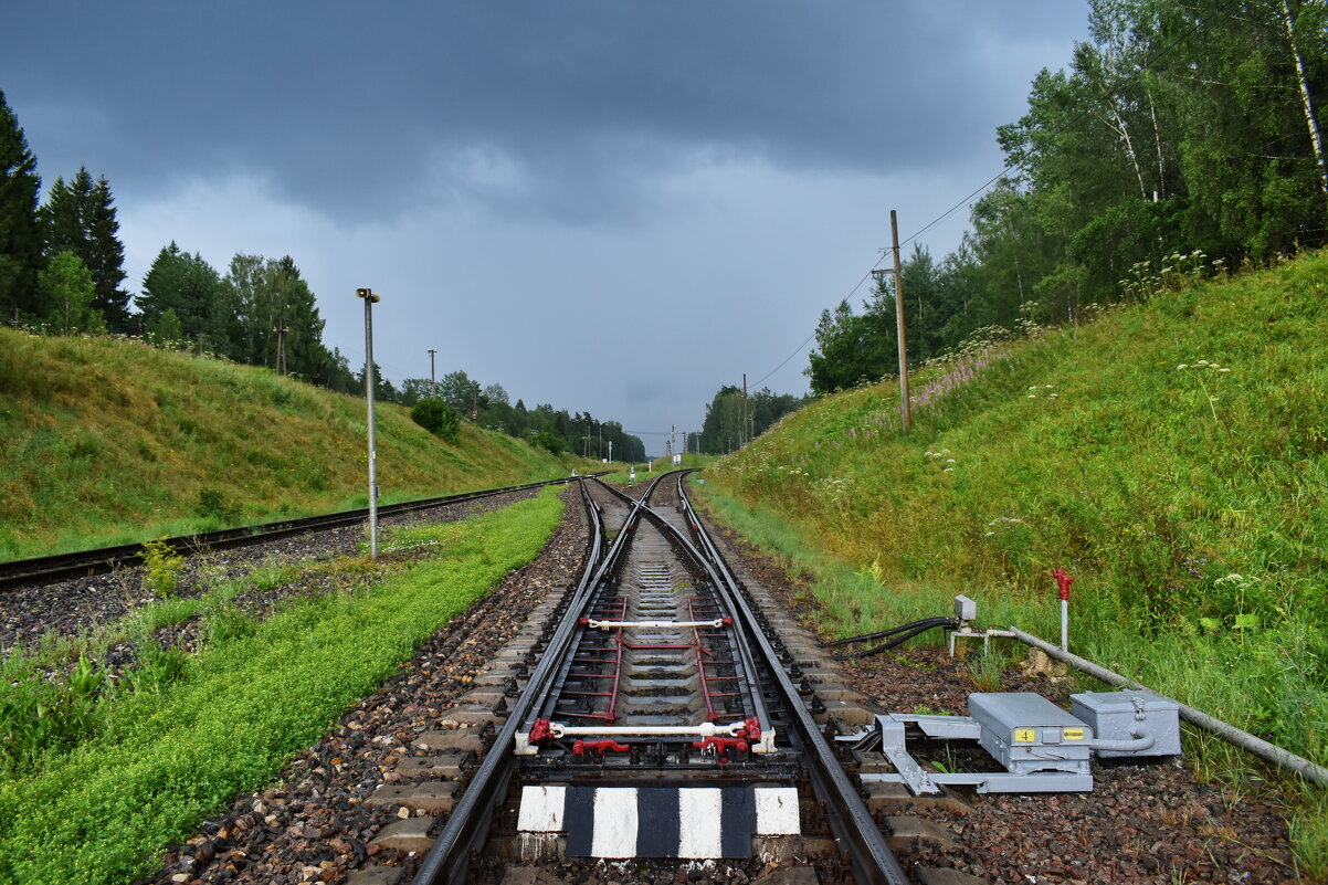 Дождь начинается - Роман Пацкевич Дождь начинается - Роман Пацкевич