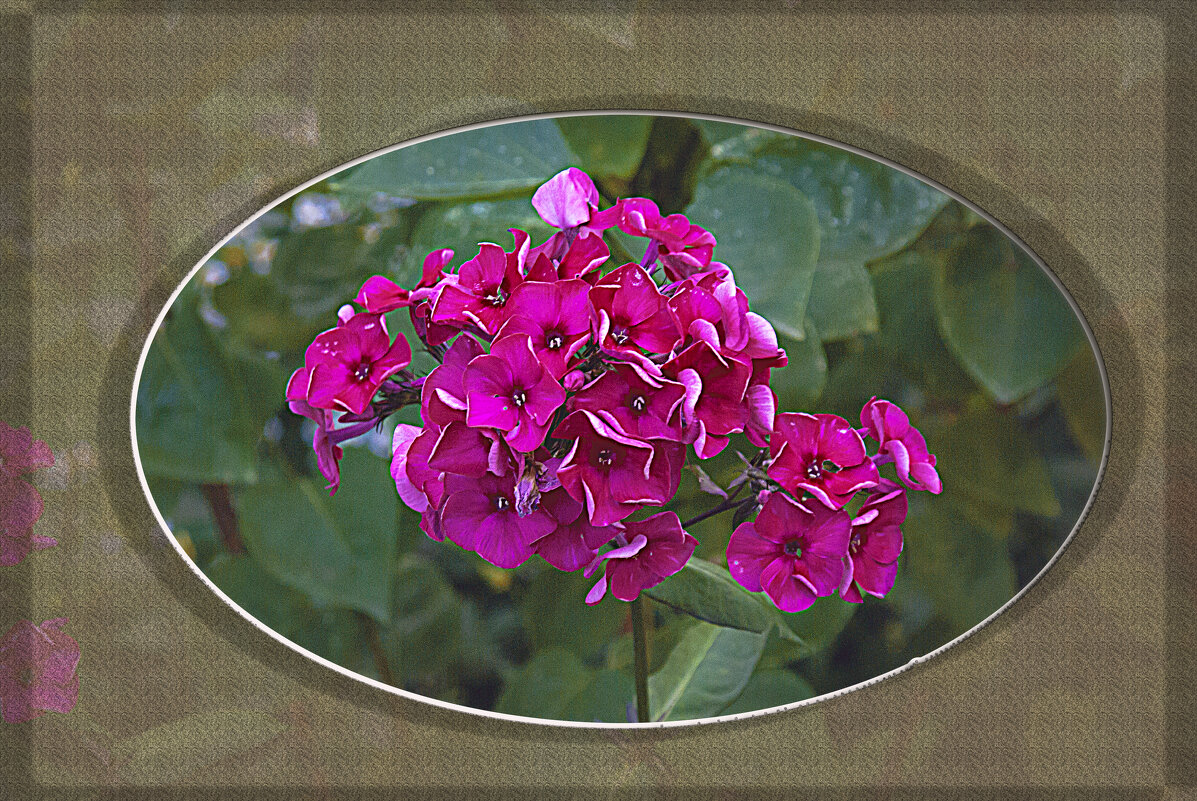 Летняя свежесть - Владимир Кроливец