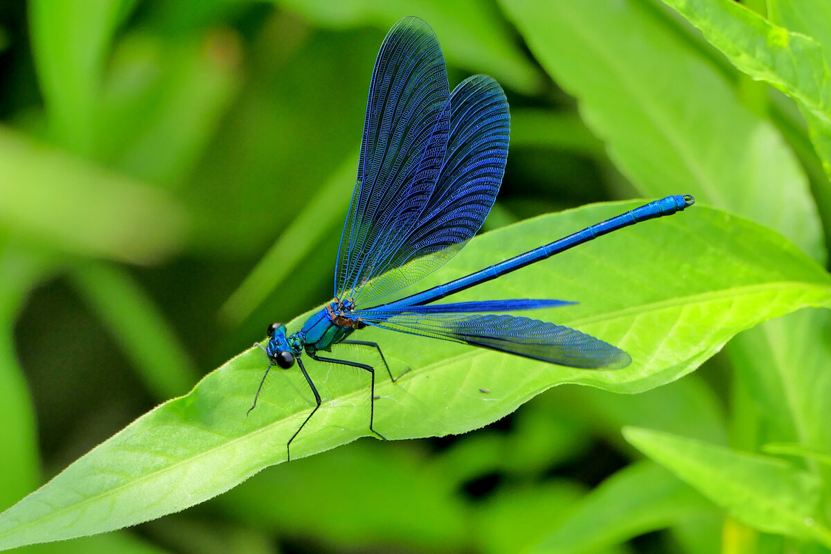 из сегодняшней съемки 3 - Александр Прокудин