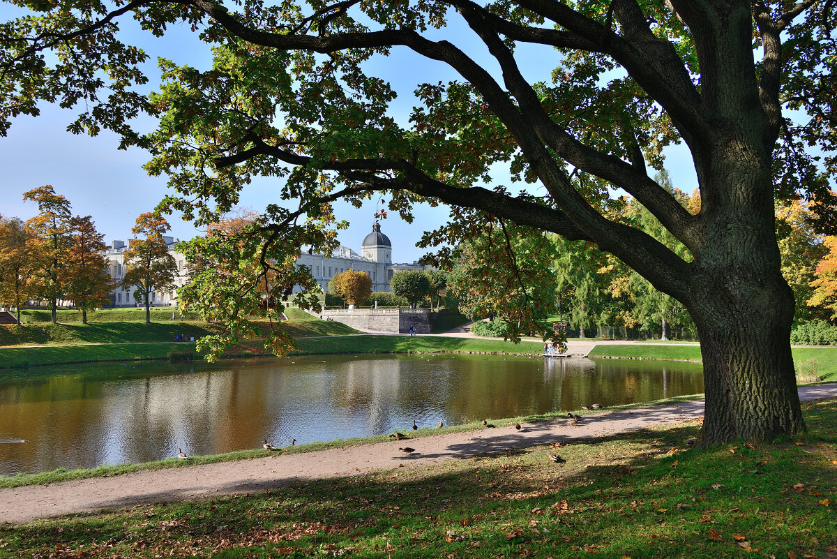 *** - Александр Хаецкий