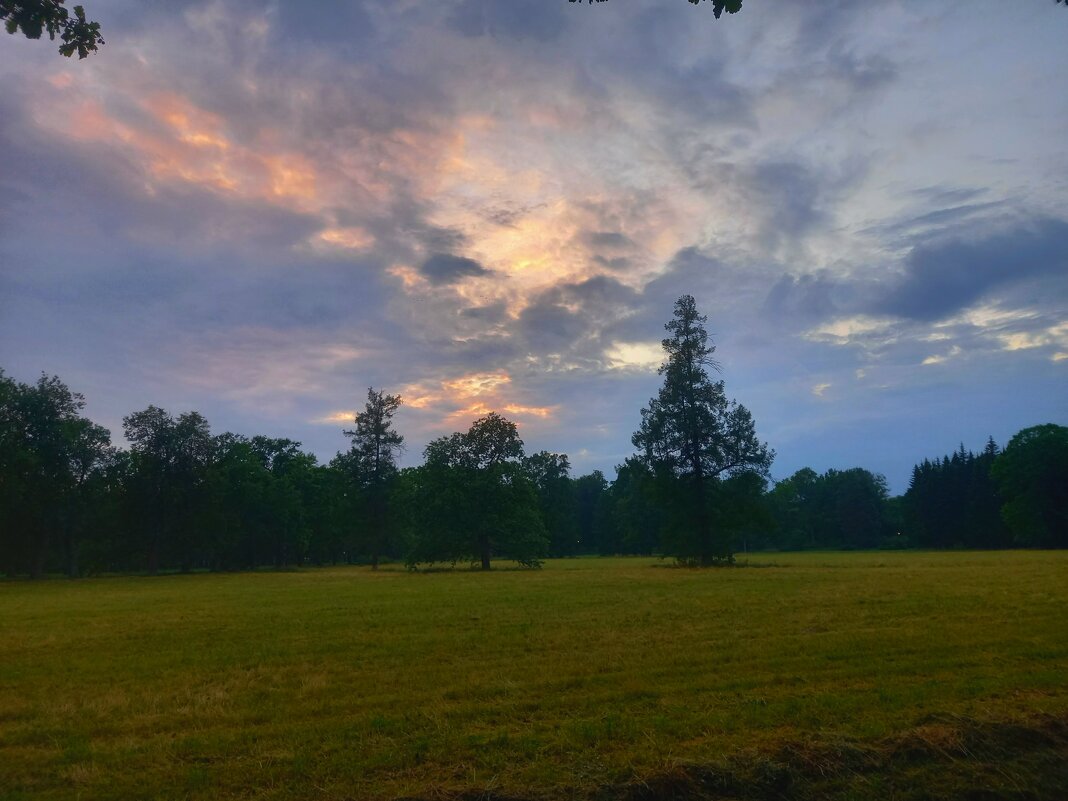 Закат - Сапсан 