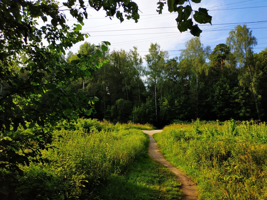 * * * - Андрей Лукьянов
