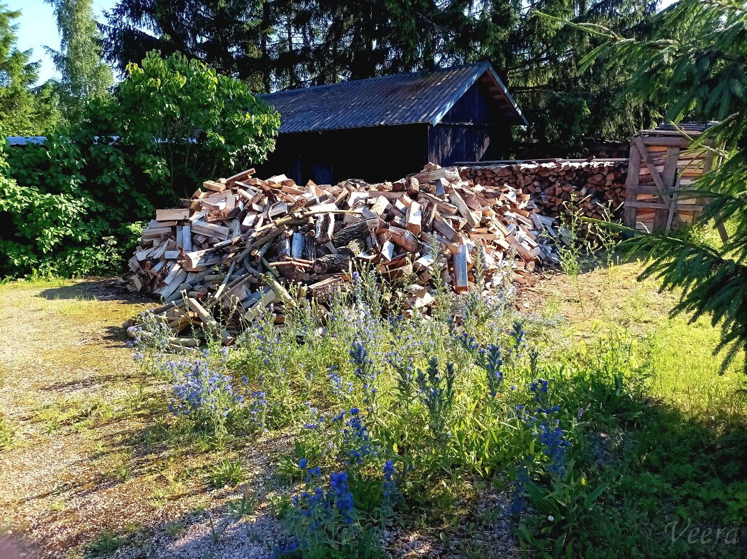 Запасы к зиме - Veera V