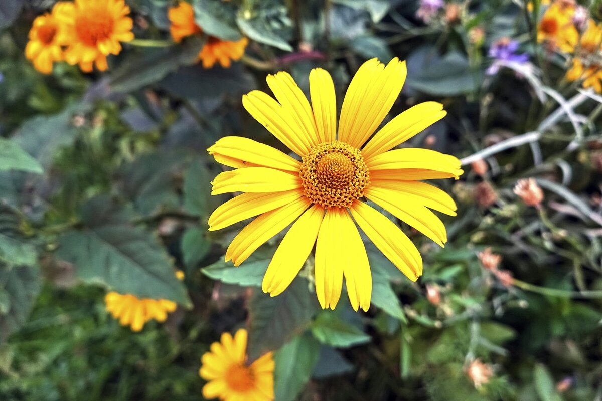 Слушая космос - Валерий Иванович