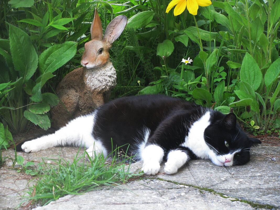 Умирающий от жары - Людмила Смородинская