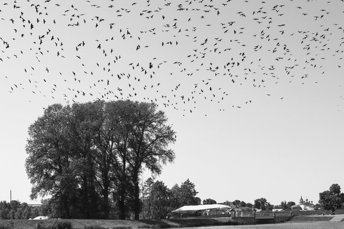 Беларусь - skijumper Иванов