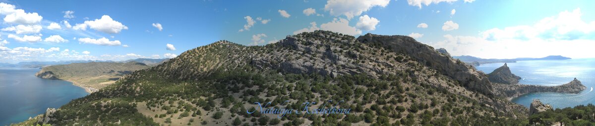 Природа Крыма - Amazing Cosmea