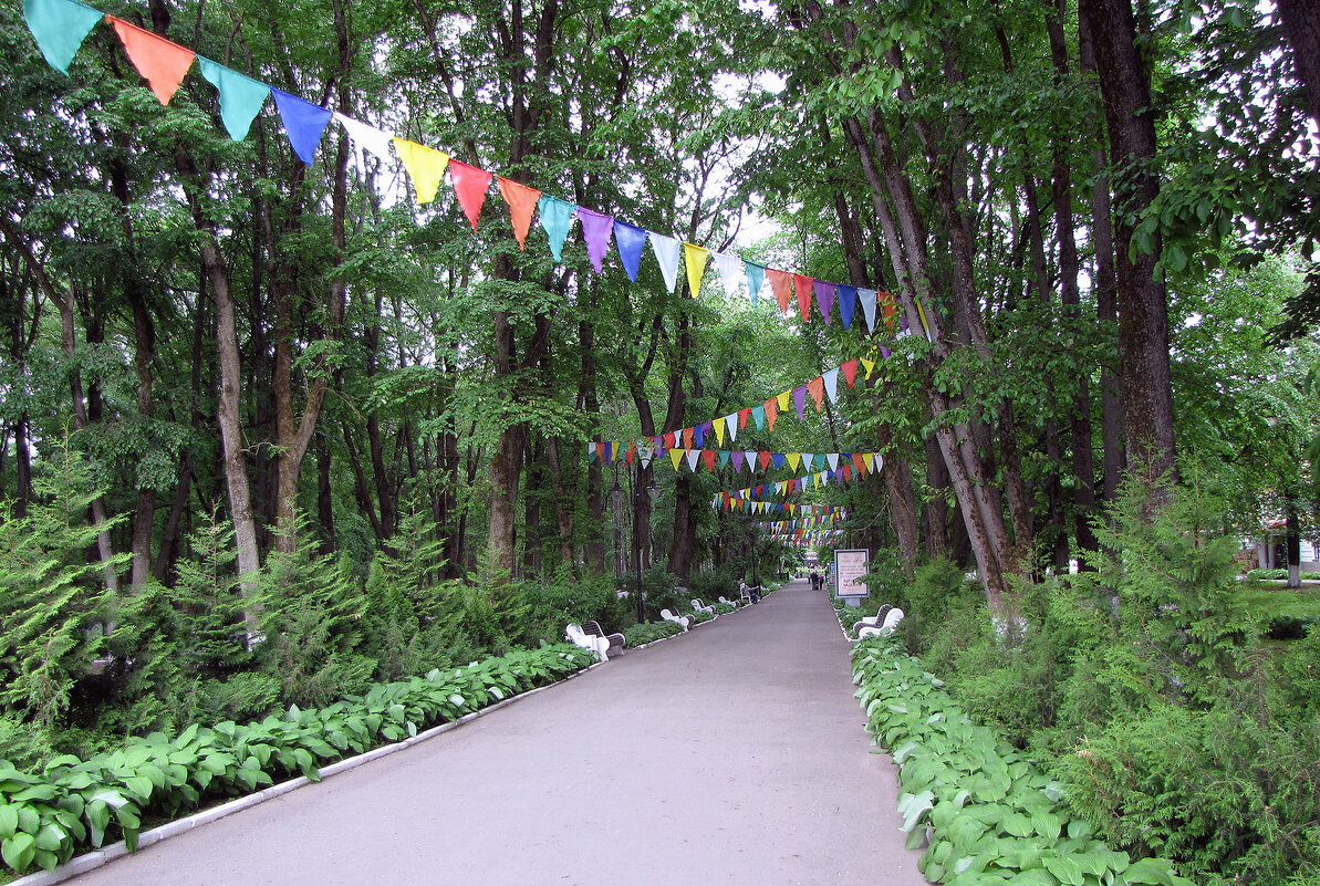 Центральная аллея - Александр Ильчевский 