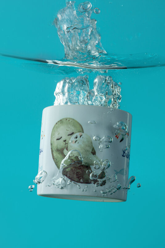 Байкальская нерпа - Denis Doroshenko