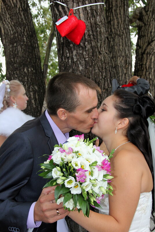 Свадьба - victor Lion