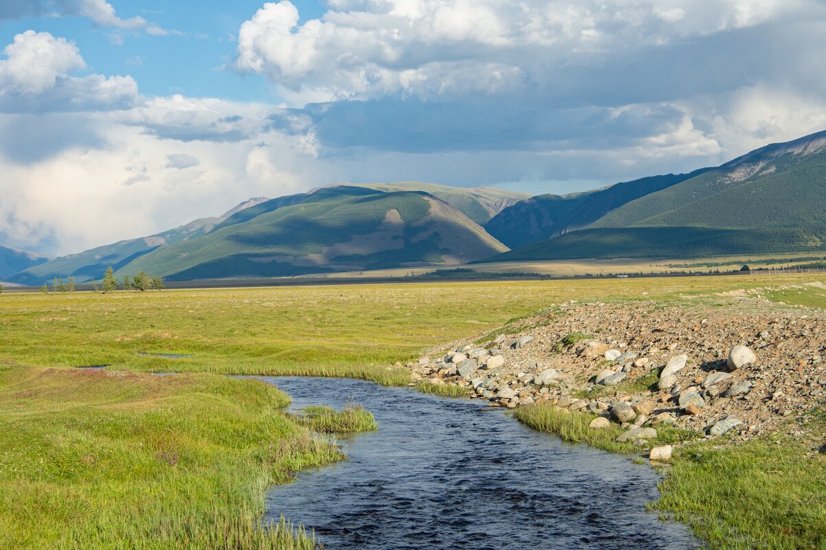 *** - Николай Чекалин