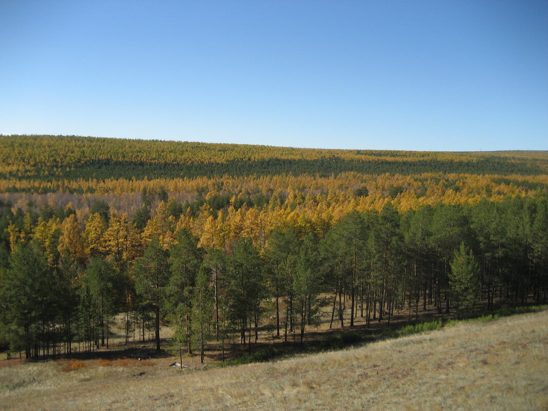 Осень - Anna Ivanova