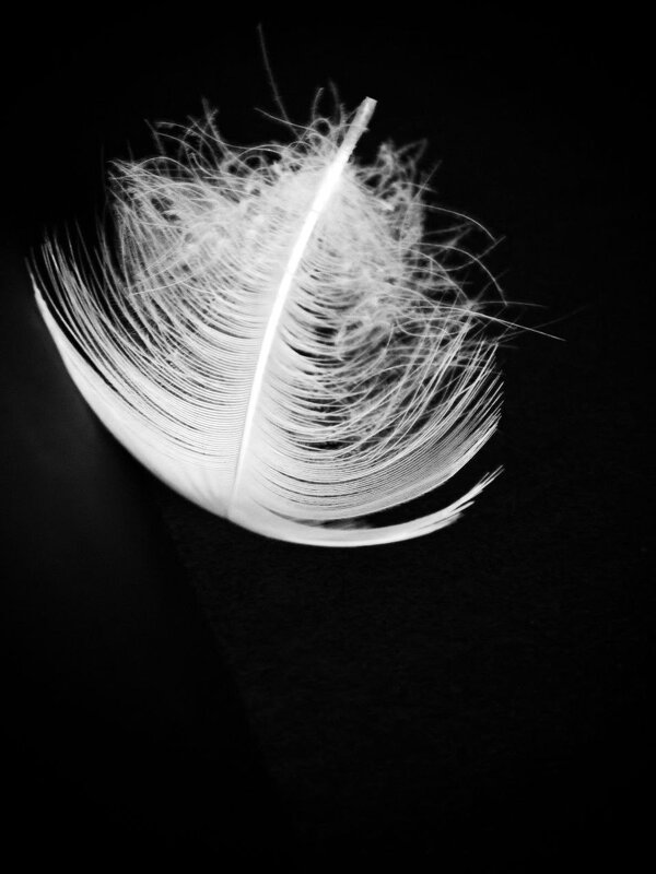 Легкость бытия - Екатерина 